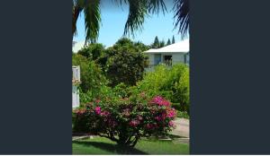 Jardí fora de Jolie studio meublé avec petite vue mer