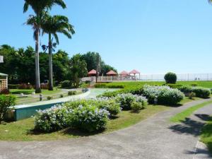 Jardí fora de Jolie studio meublé avec petite vue mer