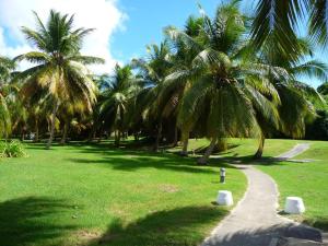Jardí fora de Jolie studio meublé avec petite vue mer