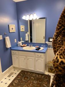 Baño azul con lavabo y espejo en Nestle Inn en Indianápolis