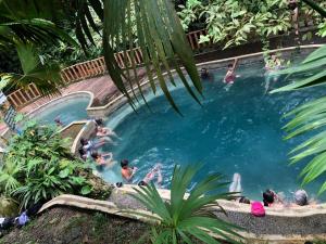 a group of people swimming in a swimming pool at Casa Colibrí in Nuquí