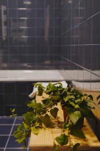Un baño de aDuquesa - GuestHouse