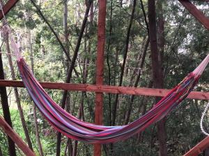a hammock in the middle of a forest at Glamping con sentido in Subachoque