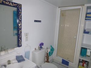 a bathroom with a toilet and a sink and a shower at Aimeo Cottage in Russell