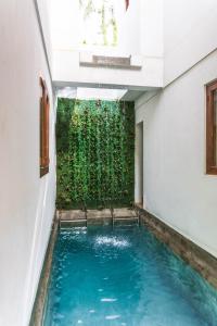 a swimming pool in a building with a green wall at Talisay Boutique Hotel in El Nido
