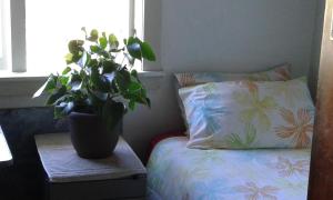a potted plant sitting on a table next to a bed at Share our home farm stay in Ruawaro