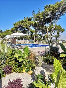 a garden with a swimming pool and some plants at Louis Luxury Villa by filoxenia in blue in Rhodes Town