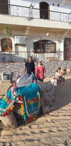 Un uomo che cavalca sul dorso di un elefante di Habibi Nubian Guest House-Nubian Hospitality a Aswan