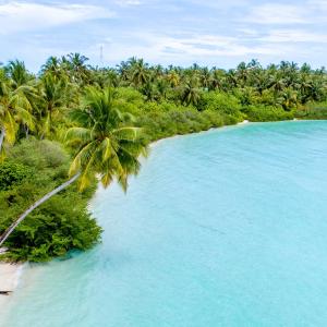 Foto dalla galleria di Tranquil Nest Vaavu a Rakeedhoo