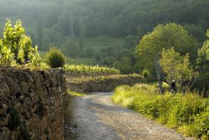Paesaggio naturale nelle vicinanze della casa vacanze