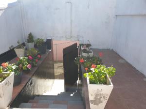Zahrada ubytování Bungalow 234