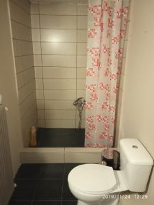 a bathroom with a toilet and a shower at Karditsa Home Sweet Home 68 τ.μ in Karditsa