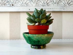 a green plant in a red pot on a table at Villa Shepherd Lajares - LUXURY VILLA FUERTEVENTURA in Lajares
