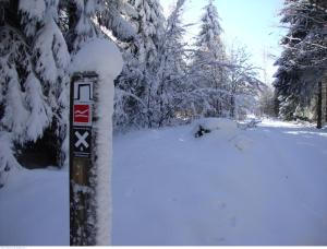 Hotel & Gasthof Hubertushöhe - Ihr Hotel für Urlaub mit Hund v zimě