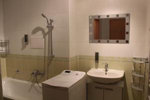 Ένα μπάνιο στο Apartmán Horalka Donovaly +28 φωτογραφίες