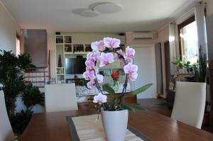 Fotografie z fotogalerie ubytování Due Lune B&B v destinaci Almenno San Salvatore