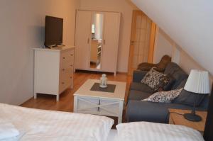 TV a/nebo společenská místnost v ubytování Apartmány Nova Lake
