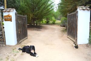 Afbeelding uit fotogalerij van Casa Azul de San Pancho in Paredones
