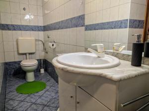 a bathroom with a sink and a toilet at Apartma Kramar Podkoren in Kranjska Gora