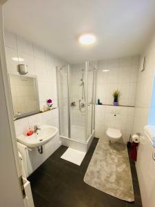 a bathroom with a shower and a sink and a toilet at Apartment in Hügelsheim