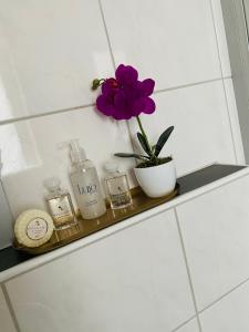 a purple flower sitting on a shelf in a bathroom at Apartment in Hügelsheim