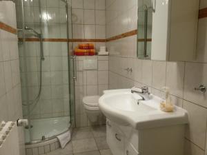 a bathroom with a sink and a shower and a toilet at Appartementanlage Tecklenburger Altstadt in Tecklenburg +16 photos