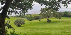 a green field with trees and a house on a hill at IRONWOOD LODGE in Pennington