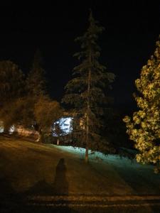 a person standing in front of a tree at night at Casas de Raco in Raco