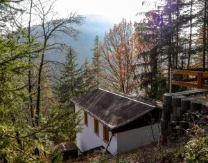 una pequeña casa con un techo de estaño en el bosque en Ferienhaus Weise en Unterweißbach