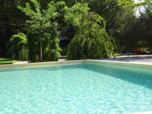 ein großer Pool mit blauem Wasser und Bäumen im Hintergrund in der Unterkunft Maison d' Alys entre Luberon et Alpilles in Cabannes
