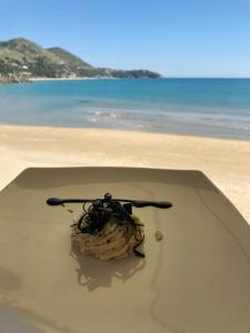 a ball of debris on a beach with the ocean at Grand Hotel Il Ninfeo in Gaeta