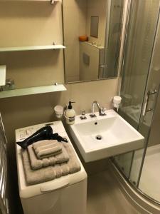 Koupelna v ubytování Apartmán Astor + 26 fotografií