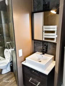W łazience znajduje się umywalka, toaleta i lustro. w obiekcie Appartement Le 146 Bis, avec Parking w mieście Rennes