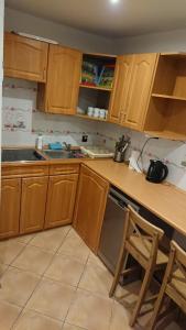 Kuchnia lub aneks kuchenny w obiekcie BASTÓWKA 2 Apartamenty