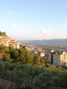 a view of a city with buildings on a hill at Villa Santa Elena B&B - Country Home Holiday in Sala Consilina