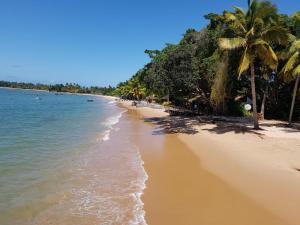 piaszczystą plażę z palmami i oceanem w obiekcie Pousada Casa Na Bolom w mieście Barra Grande