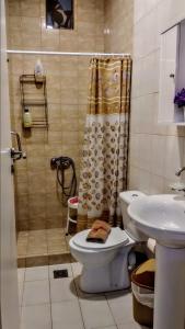 A bathroom at Trikala Apartments