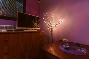 un soggiorno con TV e tavolo con lampada di Laufer a Novi Sad