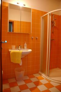 Ванная комната в Penzion Pacovka