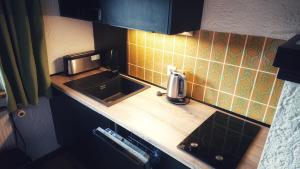 a kitchen counter with a sink and a microwave at Arber Apartments - Zwieslerwaldhaus in Lindberg