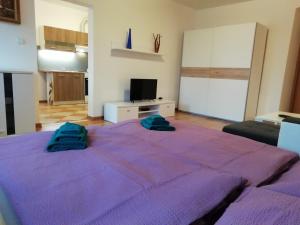 a bedroom with a purple bed with two pillows on it at Apartmán Albreit in Jáchymov