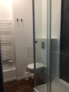 a bathroom with a toilet and a glass shower at LE NID DES ROIS, à 2 pas de la Cathédrale in Reims +16 photos