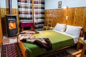 a bedroom with a bed with a fireplace and a stove at Filoxeni Gonia in Metsovo