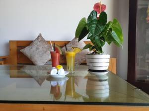 a glass table with a potted plant on top of it at Hoa Vang Riverside Villa in Hoi An