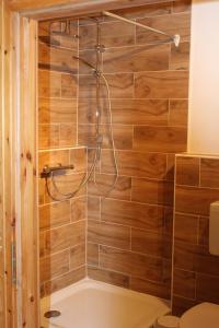 a shower in a bathroom with a wooden wall at Ferienwohnung Toscana in Mainz +9 photos