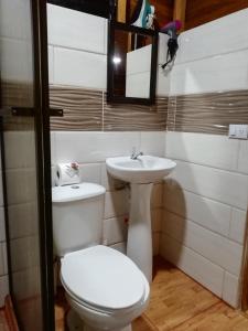 a bathroom with a toilet and a sink at Cabaña Rural Ave del Paraíso in Fortuna