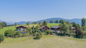 eine Luftansicht eines Hauses auf einem Hügel in der Unterkunft Apartment Deml in Flachau