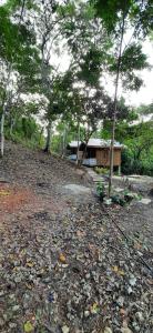 Zahrada ubytování home stay rizalina