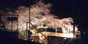 Fotografie z fotogalerie ubytování Houtouji Temple v destinaci Jošino