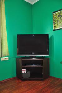 TV a/nebo společenská místnost v ubytování Guesthouse Leiputrija